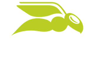 Diagram illustrating layered AI architecture in email security